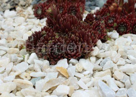 Мраморная Крошка Белая