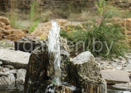 Каменная кора Шпилька