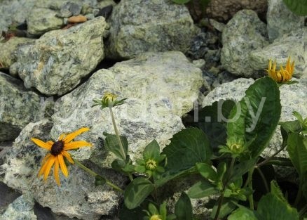 Валун Змеевик