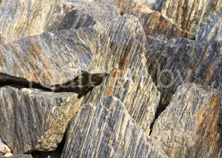 Каменная кора Шпилька