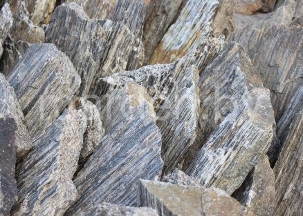 Каменная кора Шпилька