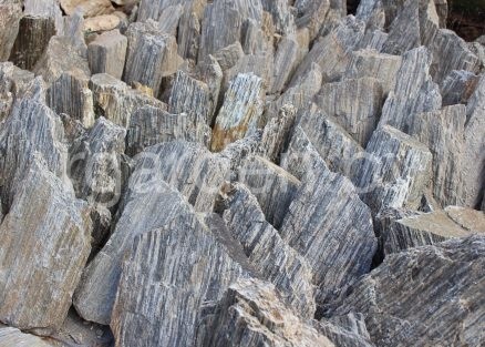 Каменная кора Шпилька