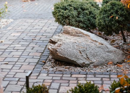 Валун Каменная кора