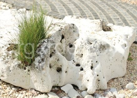 Валун Краснодарский