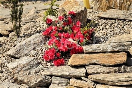 Бутовый камень Каменная кора