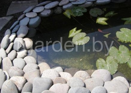 Галька речная Цветная плоская