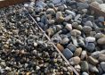 Галька речная Цветная круглая