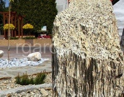 Каменная кора Шпилька