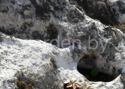 Валун Краснодарский