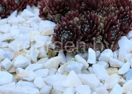 Мраморная Крошка Белая