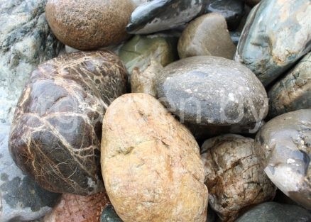 Валун Цветной