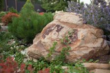 Валун Тигровый