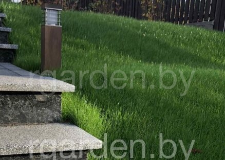 Ступени из Покостовского гранита