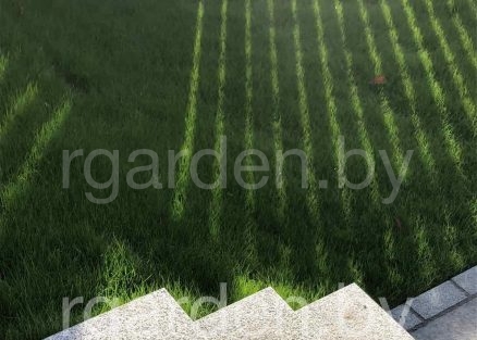 Ступени из Покостовского гранита