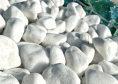 Галька мраморная Белая Тасос