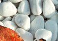 Галька мраморная Белая Тасос