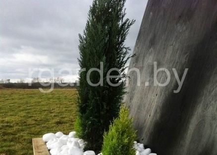 Галька мраморная Белая Тасос