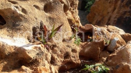 Валун Эллада