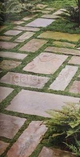 Плиты ступовые пиленые из песчаника серо-зелёный