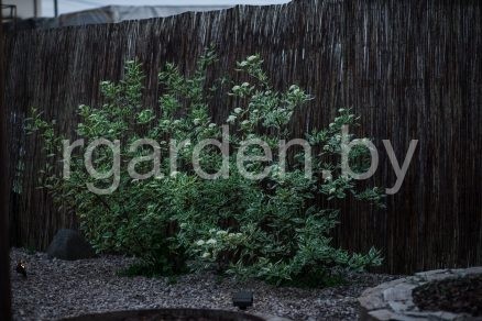 Ландшафтный светильник FDL-02-R RAPHAEL