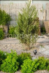 Ландшафтный светильник ADL-03 LOMBARDO