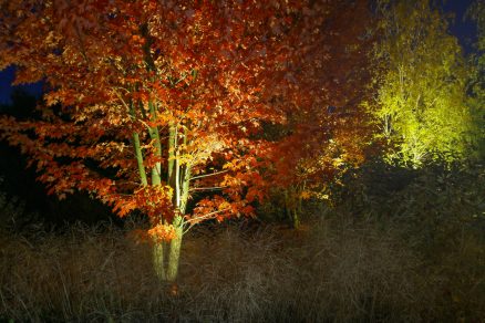 Ландшафтный светильник Botticeli UL-05