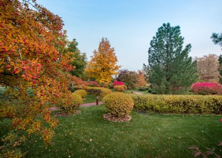 Светильник для дорожек из дерева TSS-8