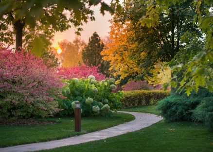 Светильник для дорожек из дерева TSS-8