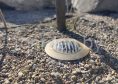 Большое защитное кольцо UL-01-Cover Ring PAR36