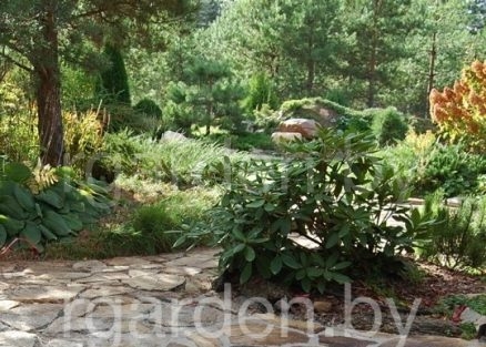 Вяжущее средство для водопроницаемых шовных растворов HADALAN, 1,8 кг