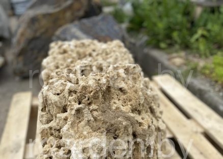 Валун Меотис