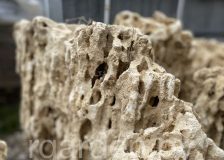 Валун Меотис