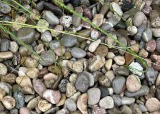 Галька морская Азовская