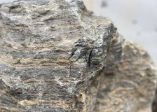 Валун Домбай