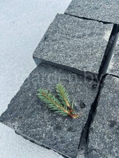 Брусчатка габбро-диабаз